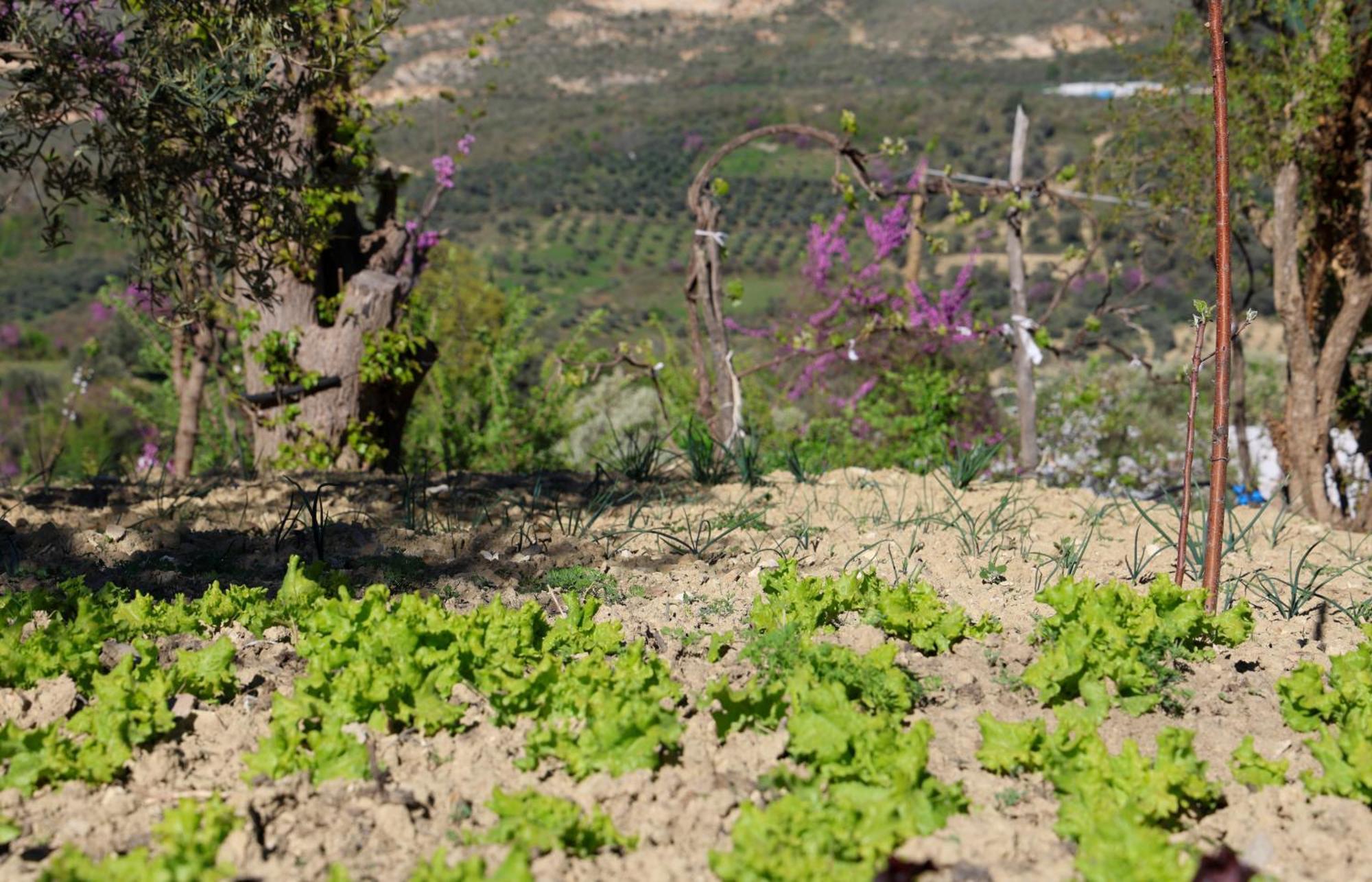 בראט Villa Shpiragu Village Experience מראה חיצוני תמונה
